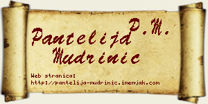 Pantelija Mudrinić vizit kartica